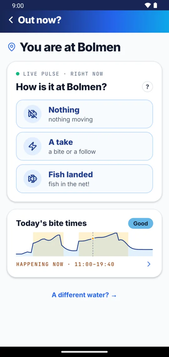 Out now? You are at Bolmen: report nothing, a take or fish landed with one tap