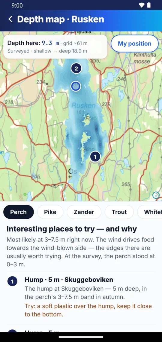 The depth map of Rusken, with the depth at your position and places to try for perch