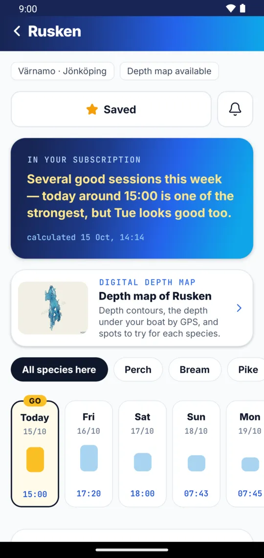 Rusken: several good sessions this week, and the week ahead day by day