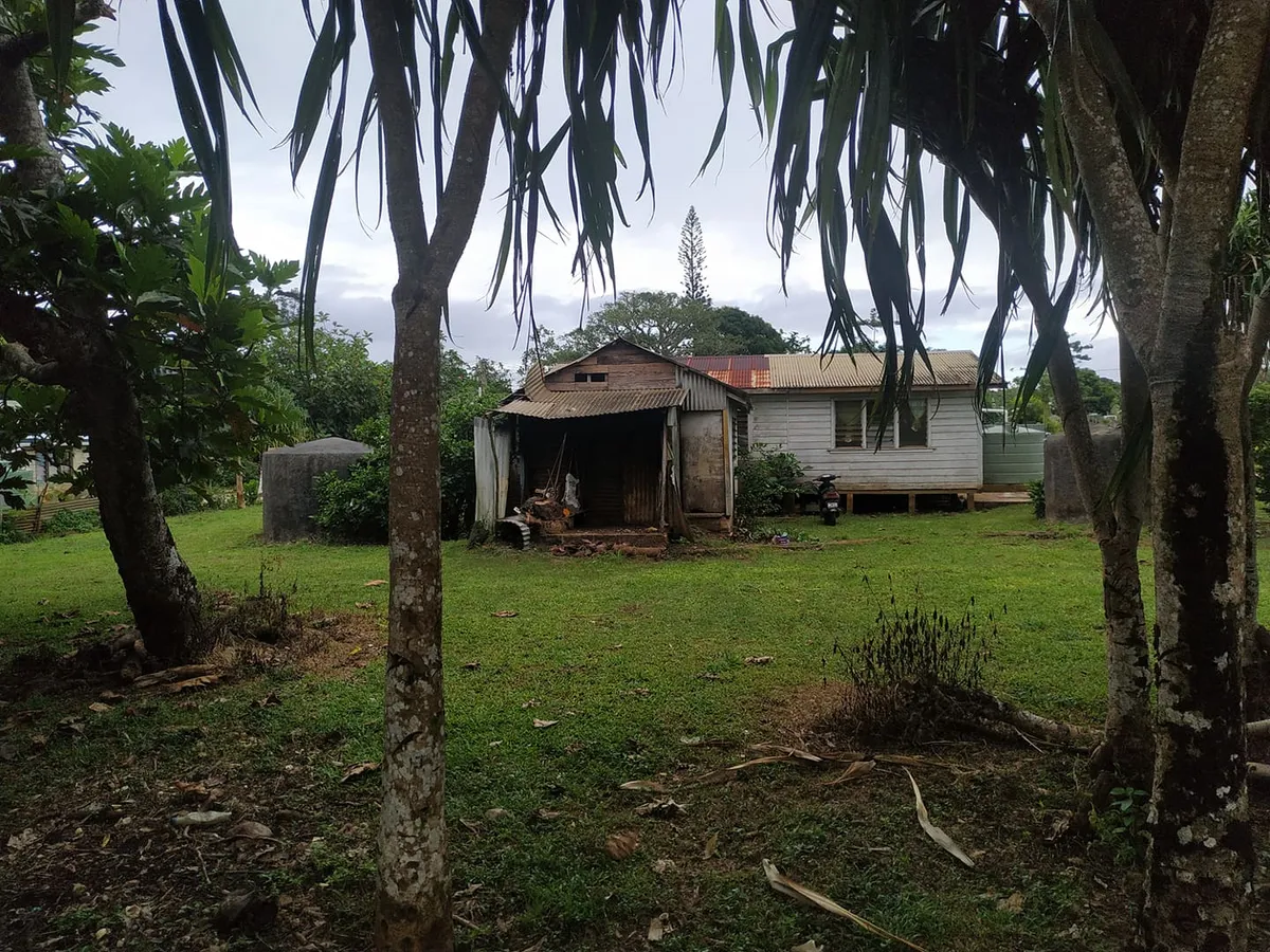 A small wooden house with a tin roof, seen between palm trees across a lawn