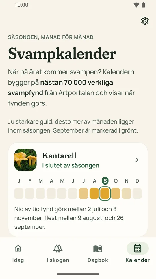 The mushroom calendar, month by month, for chanterelles