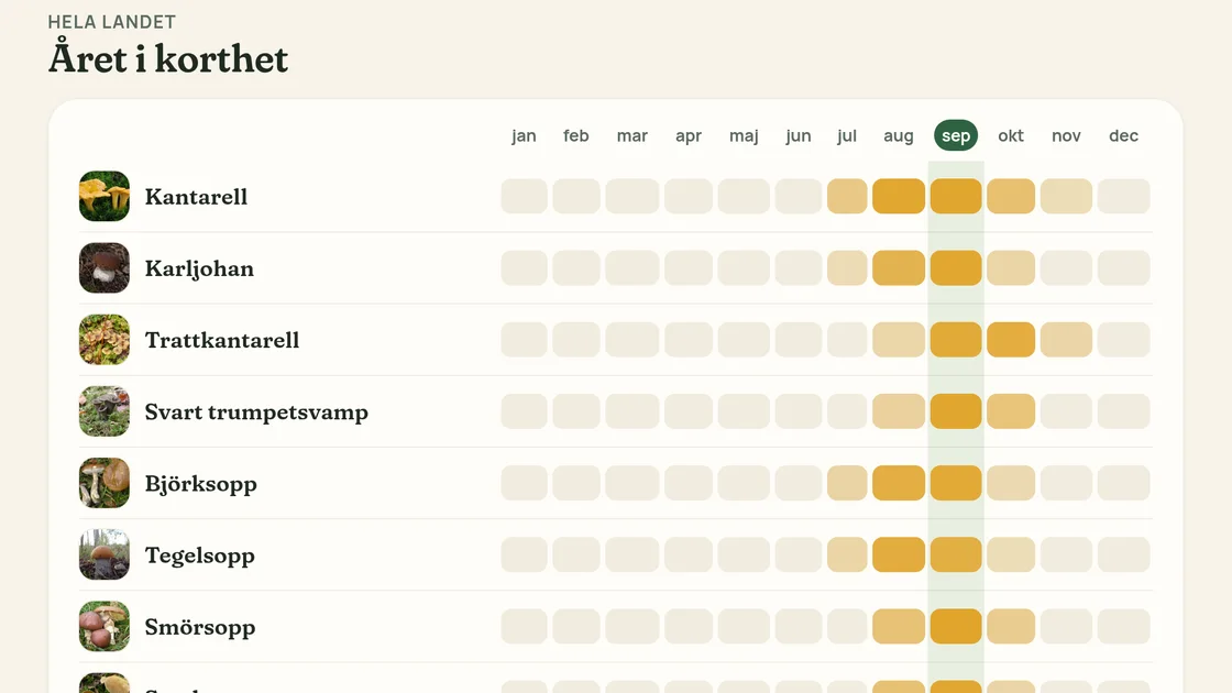 The mushroom calendar on Svampdags: sixteen species, month by month, with September highlighted