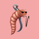 Maggots.se